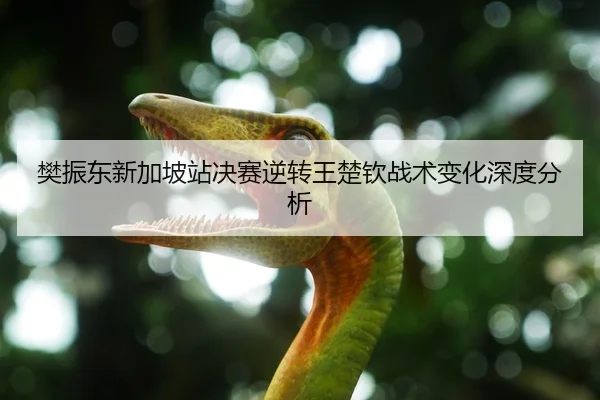 fan-zhen-dong-xin-jia-po-zhan-jue-sai-ni-zhuan-wang-chu-qin-zhan-shu-bian-hua-shen-du-fen-xi-2-209.jpg
