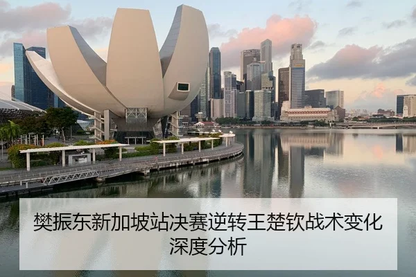 樊振东新加坡站决赛逆转王楚钦战术变化深度分析