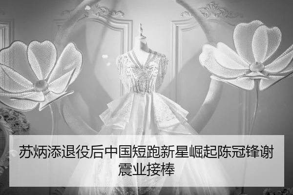 su-bing-tian-tui-yi-hou-zhong-guo-duan-pao-xin-xing-jue-qi-chen-guan-feng-xie-zhen-ye-jie-bang-2-245.jpg