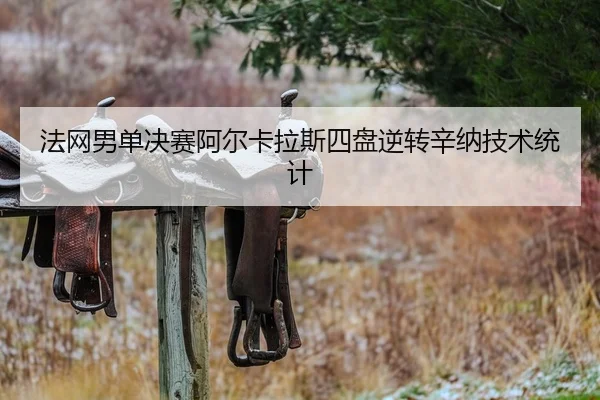 fa-wang-nan-dan-jue-sai-a-er-ka-la-si-si-pan-ni-zhuan-xin-na-ji-shu-tong-ji-2-917.jpg