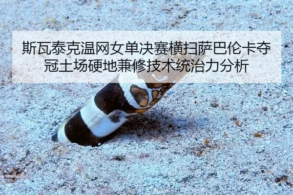 si-wa-tai-ke-wen-wang-nv-dan-jue-sai-heng-sao-sa-ba-lun-ka-duo-guan-tu-chang-ying-di-jian-xiu-ji-shu-tong-zhi-li-fen-xi-3-283.jpg